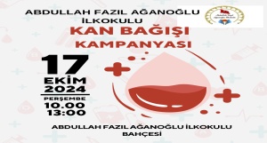 17-10-2024