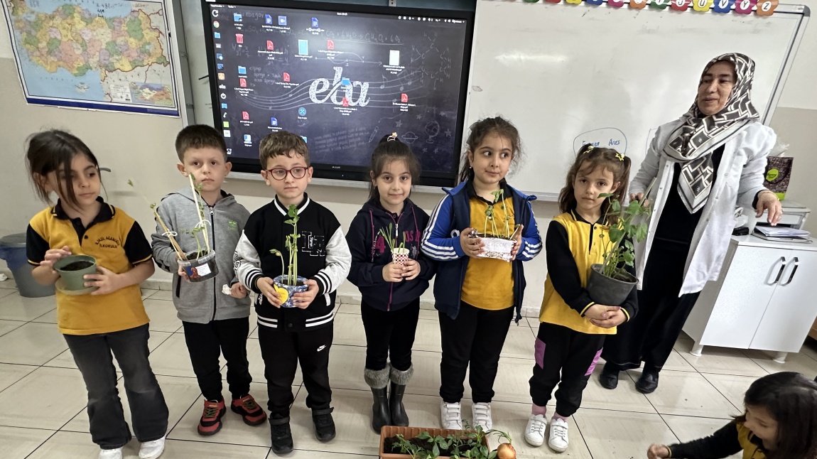 E TWİNNİNG PROJEMİZ BİRİ ON YAPMA SANATI FİDAN DİKİMİ GERÇEKLEŞTİRDİK